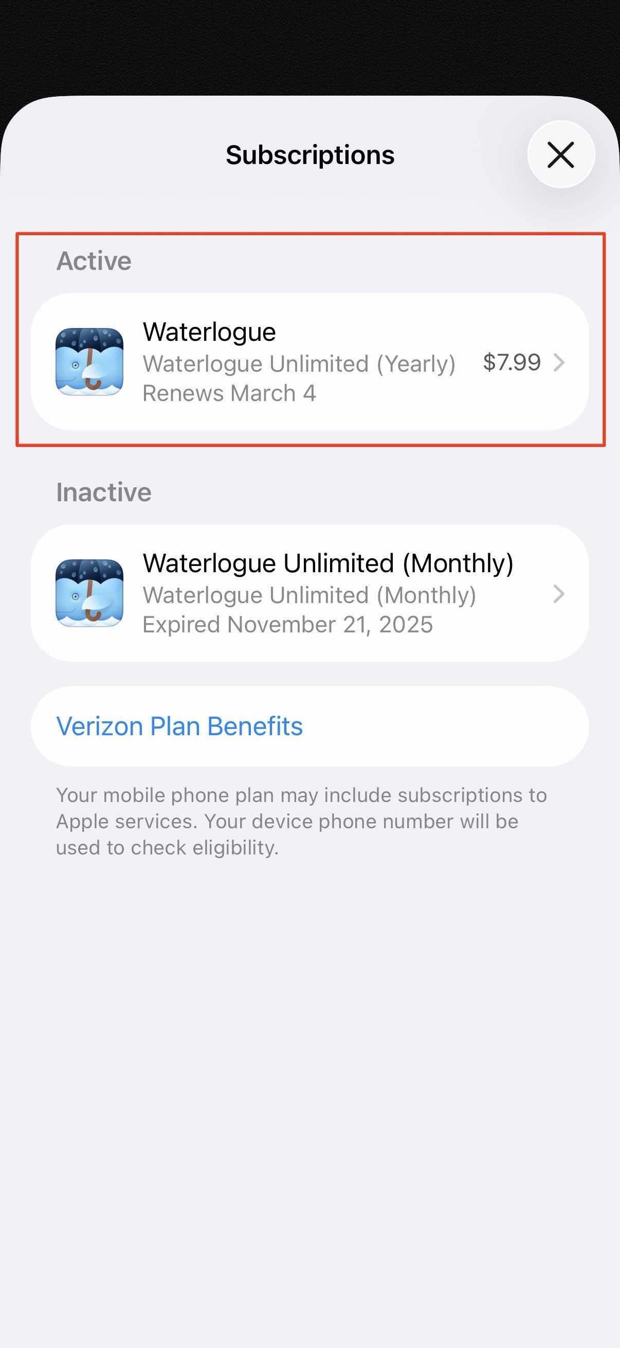Apple Subscriptions screen showing active Waterlogue subscription