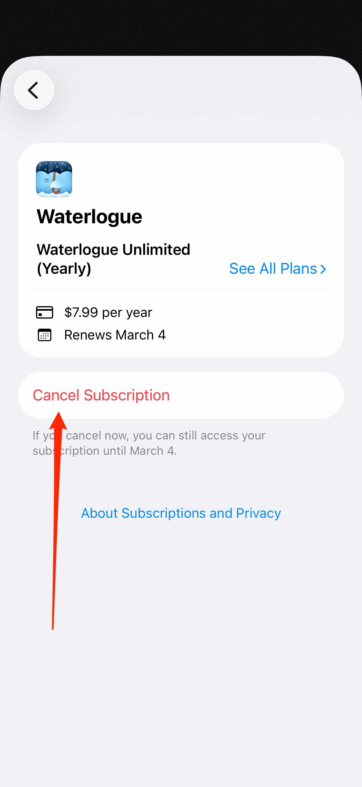 Subscription detail screen with Cancel Subscription button
